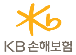 KB 손해보험